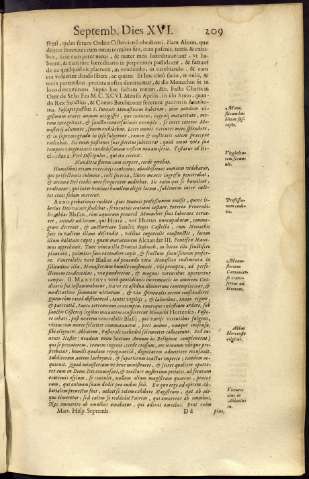 231