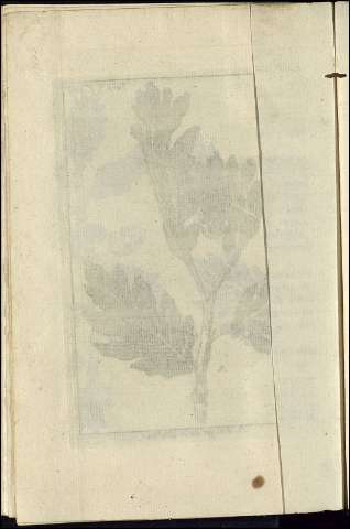 288