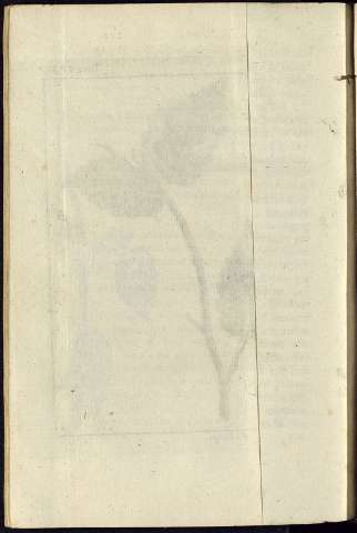294