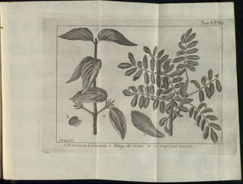 299