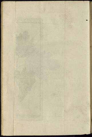 310
