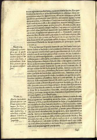 32