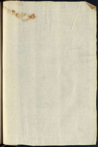 291