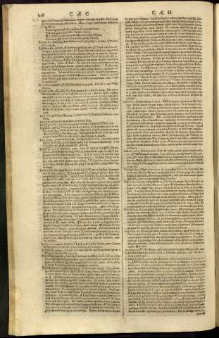 224
