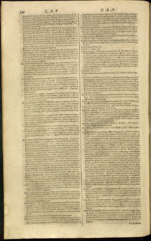 244