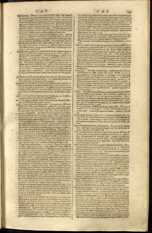 245