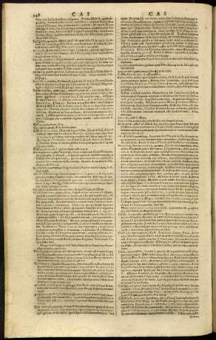 256