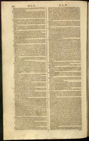 310