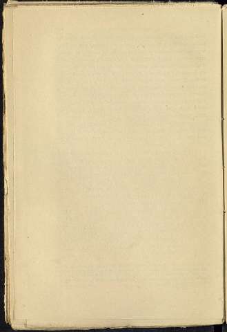 256