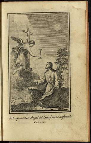 113