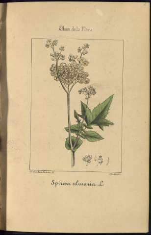 183