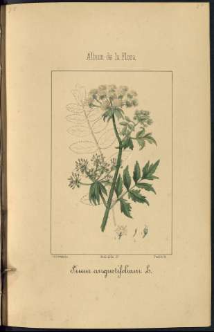 245