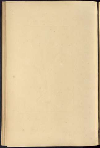 294