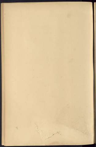338