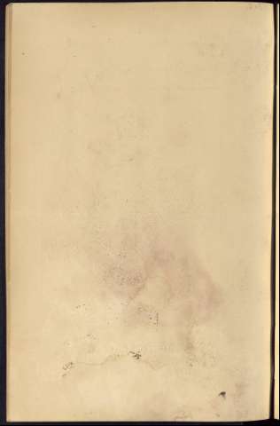 382