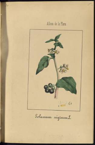 255