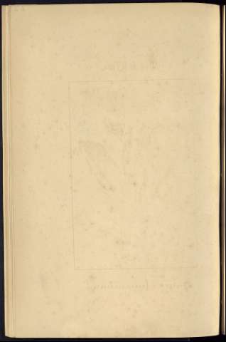 314