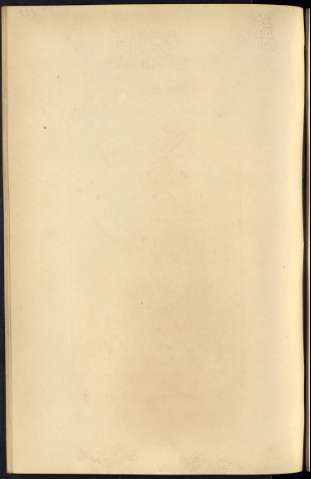 384