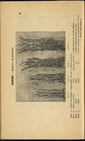 92