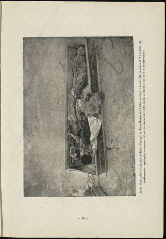 61