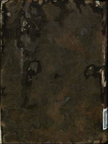 Tapa