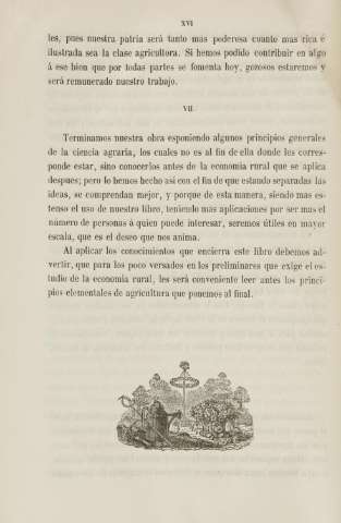 XVI