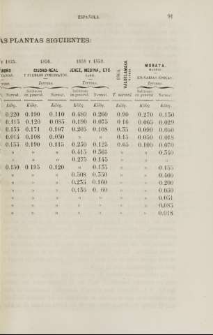 91
