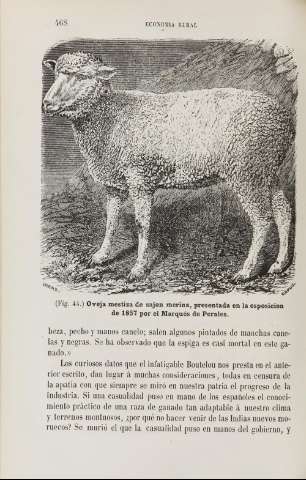 468