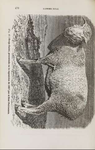 470