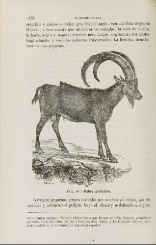 484