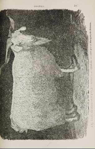 487