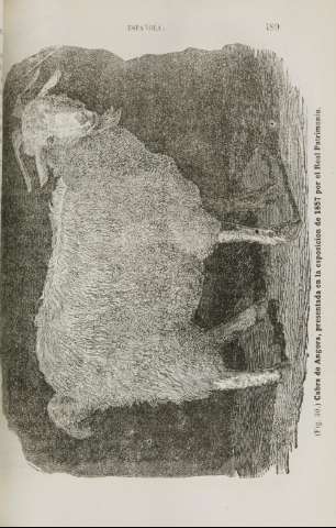 489