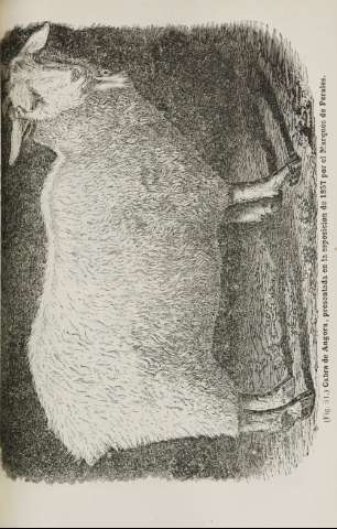 491
