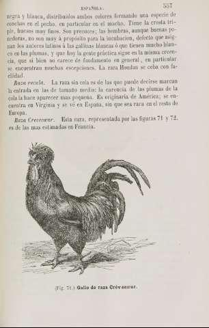 557