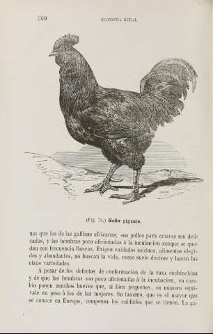 560