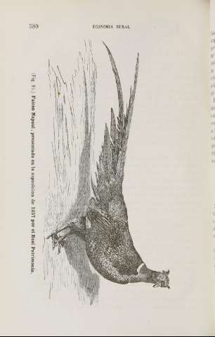 580