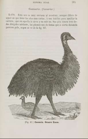 595