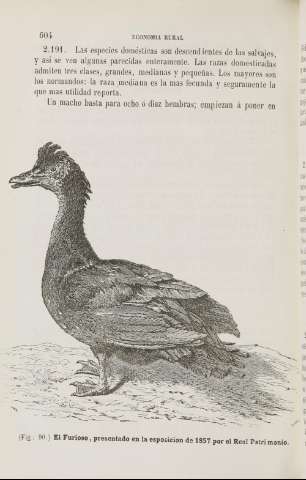 604