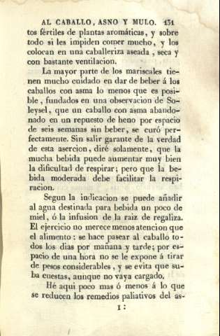 131