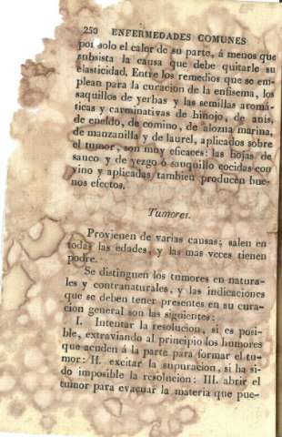250