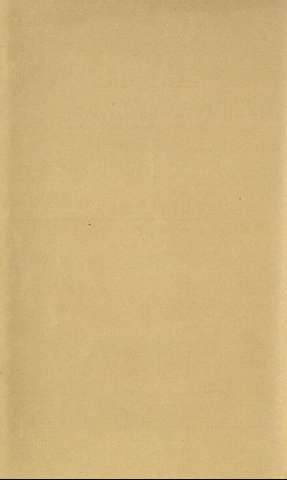 Tapa