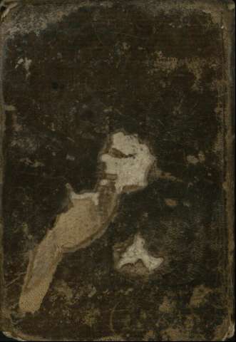 Tapa