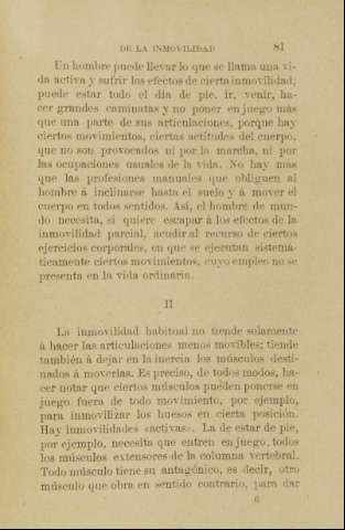 81