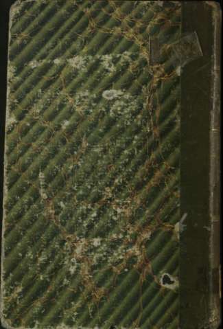 Tapa