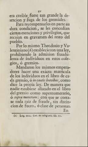 XV