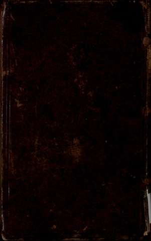 Tapa