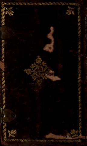 Tapa
