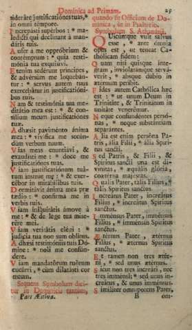 25