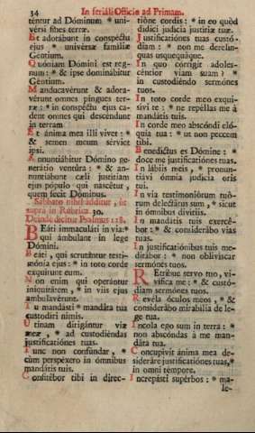 34