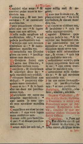 40